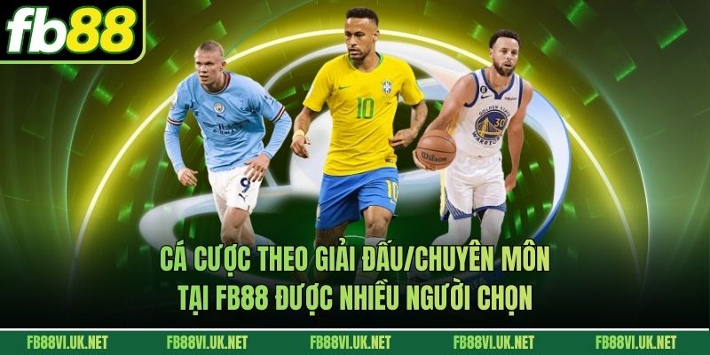 Cá cược theo giải đấu/chuyên môn tại FB88 được nhiều người chọn
