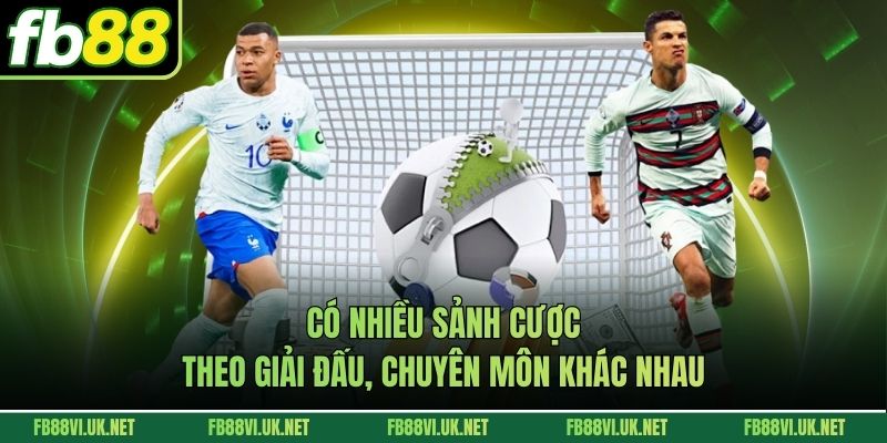 Có nhiều sảnh cược theo giải đấu, chuyên môn khác nhau